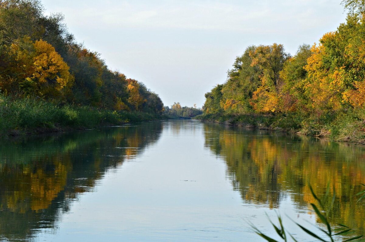 Засмотрелась Осень в воду... - Надежда Куркина 