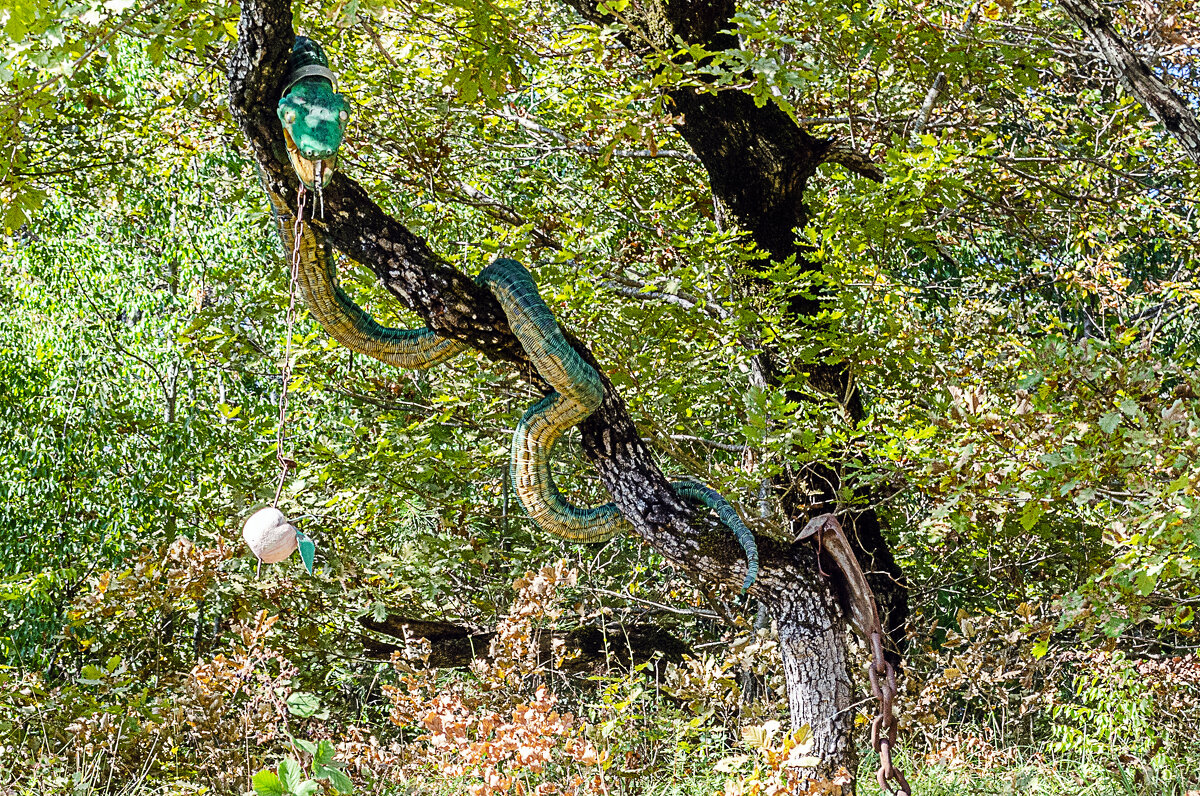 Змей искуситель - Андрей Щетинин