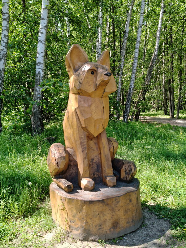 Волк в липовой роще - Валерий Судачок