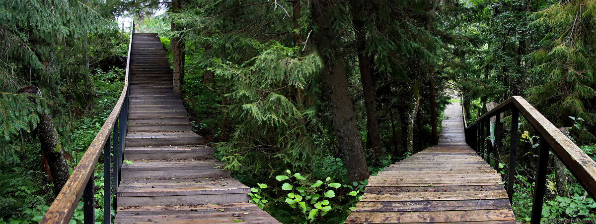 река, Рагуша, Бокситогорск - Laryan1 