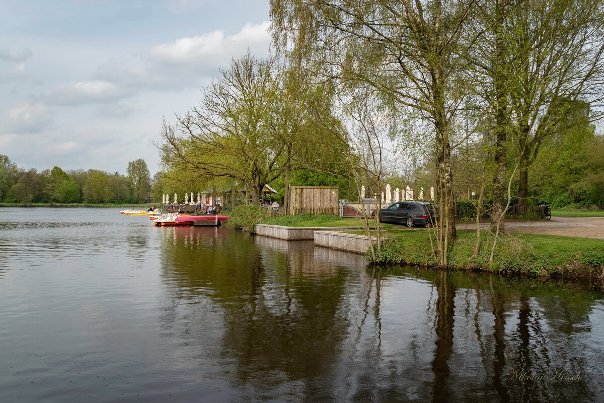 Весеннее настроение... - Николай Гирш