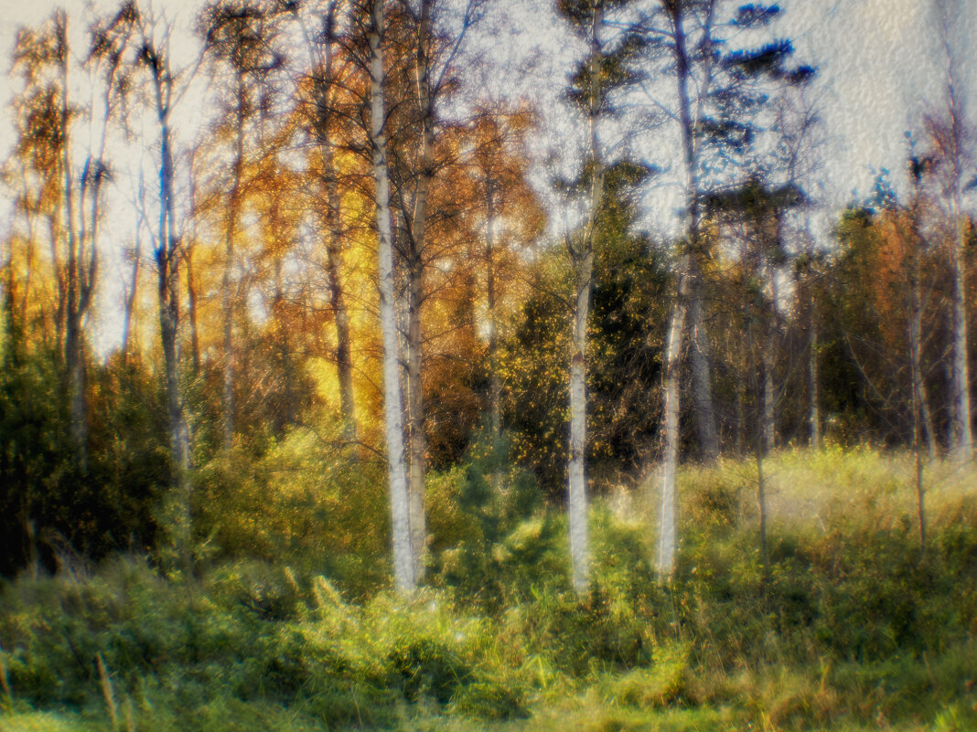 Tallinn, Fotograaf Arkadi Baranov, FEP, Estonia - Аркадий  Баранов Arkadi Baranov