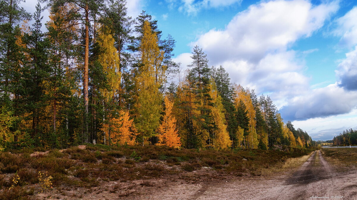 Унылая пора.... - Ольга Cоломатина