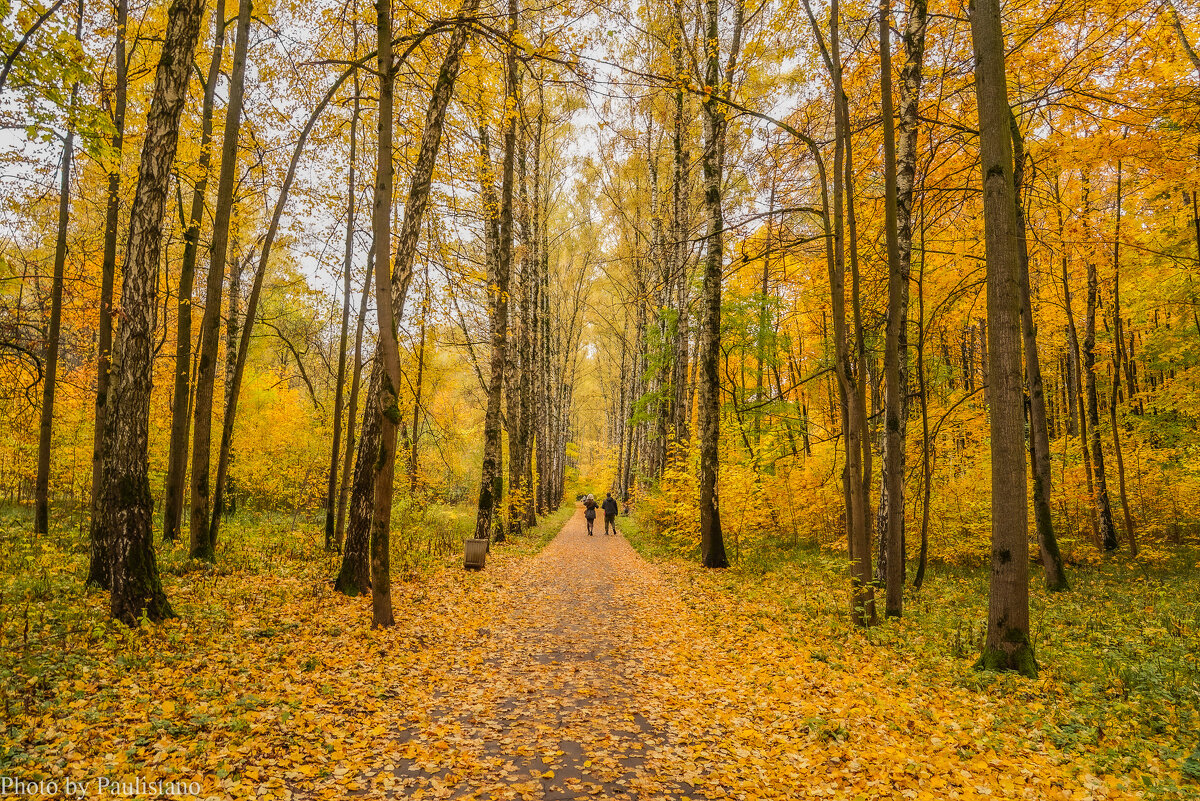 В осеннем парке... - Владимир Жданов В осеннем парке... - Владимир Жданов