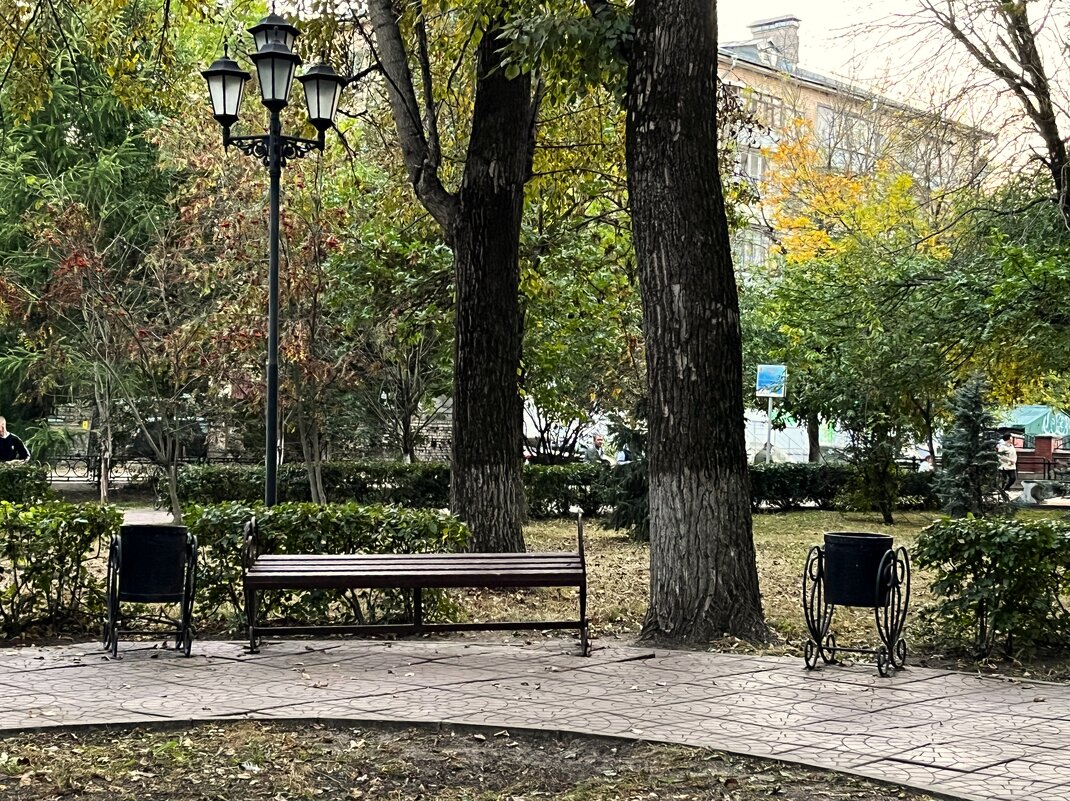 ***в осеннем парке*** - Olga Oskolkova