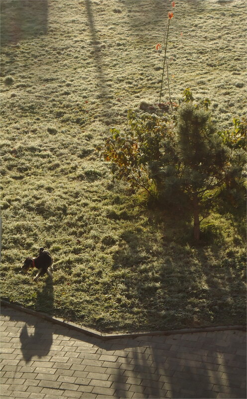 па-де-де по инею - sv.kaschuk 