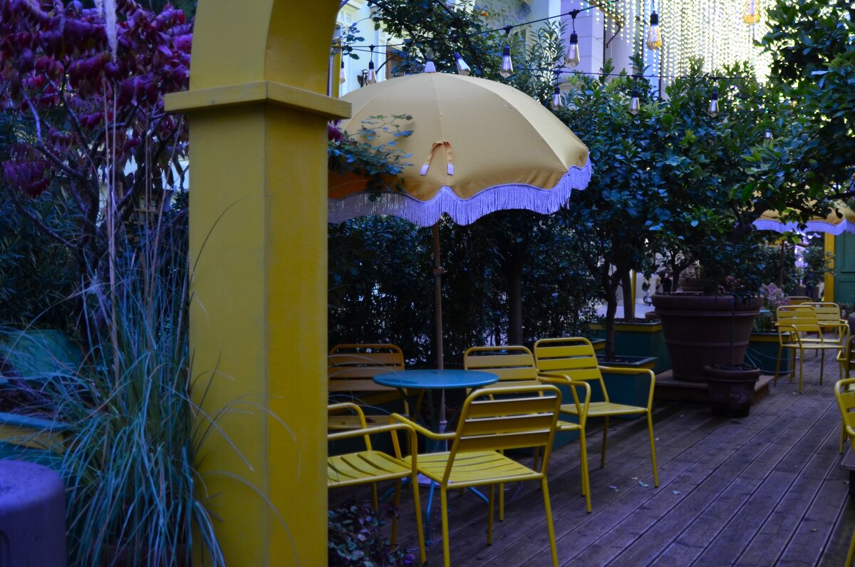 В догонку уходящему лету. - Наталья Вязигина В догонку уходящему лету. - Наталья Вязигина