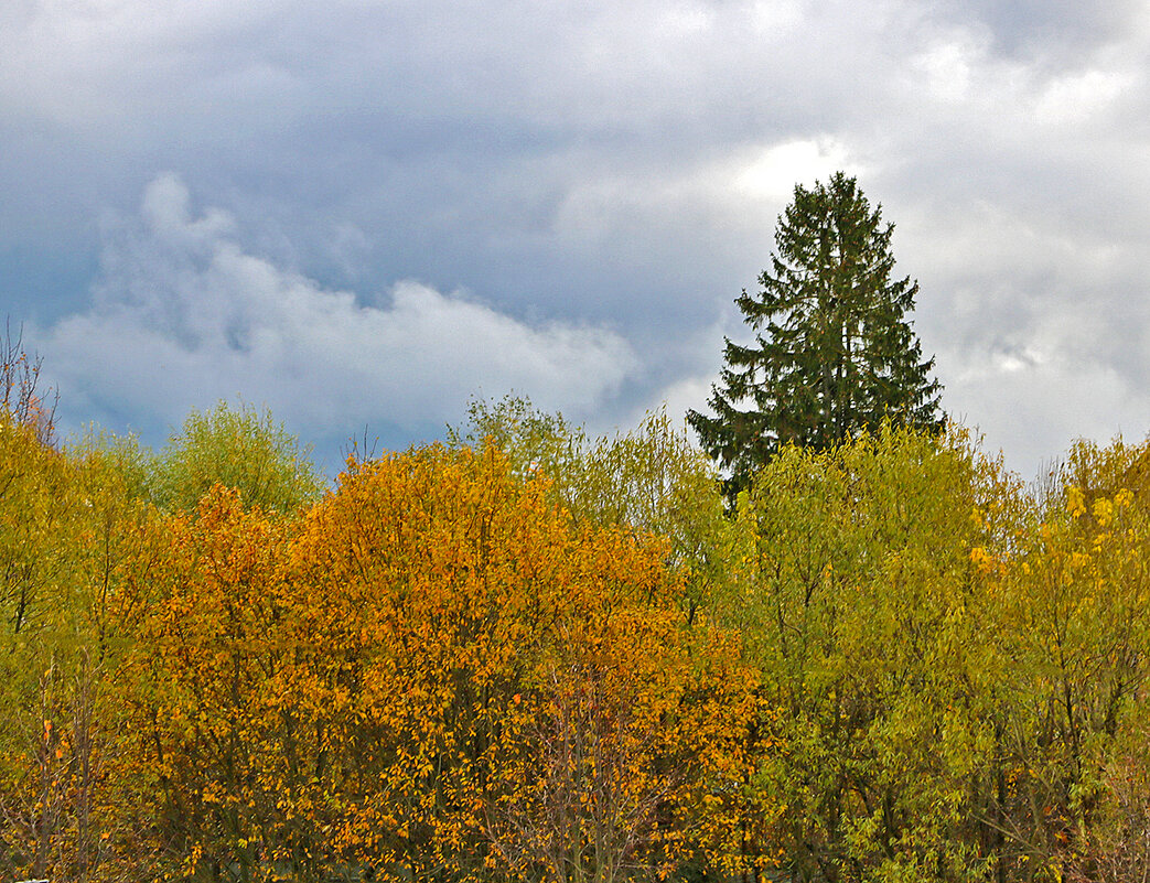 Октябрь... - Светлана 