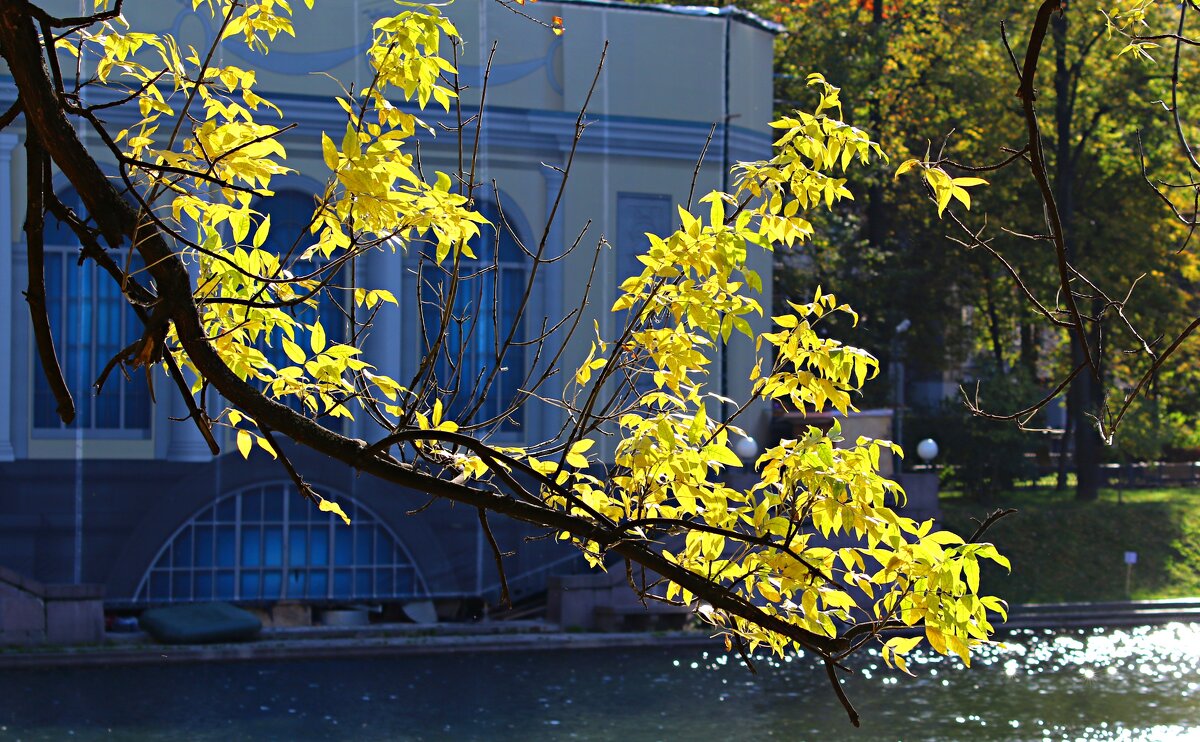 Октябрь - Владимир59 