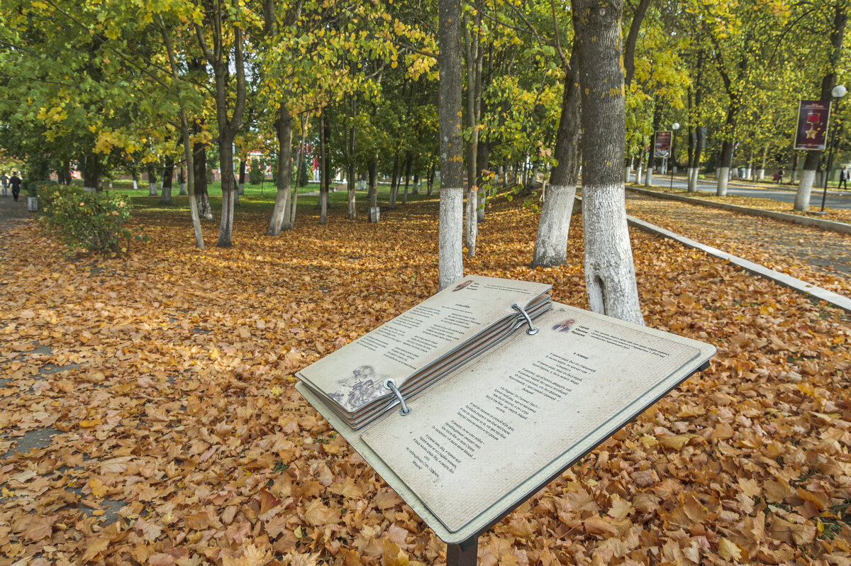 Осень в уездном городе - Александр Филатов