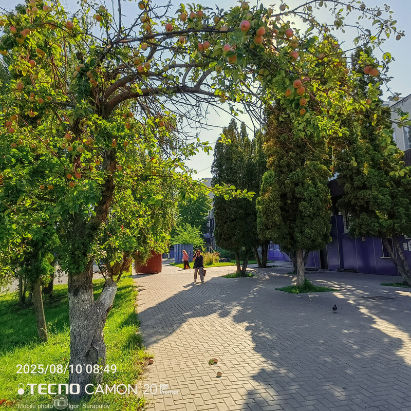 Яблоневое утро - Игорь Сарапулов