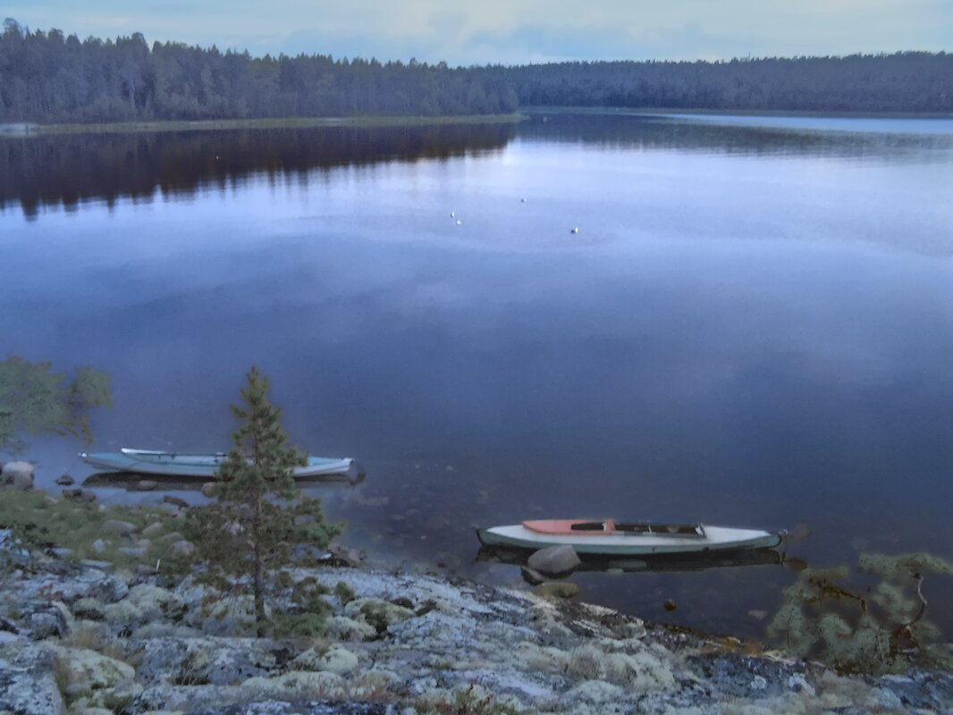 Белая ночь - Andy 