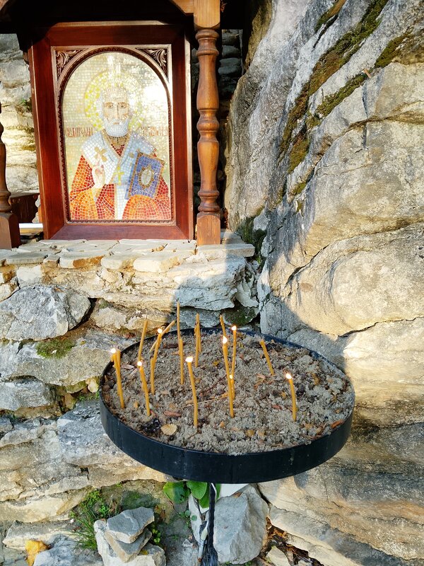 ИКОНА - Tata Wolf