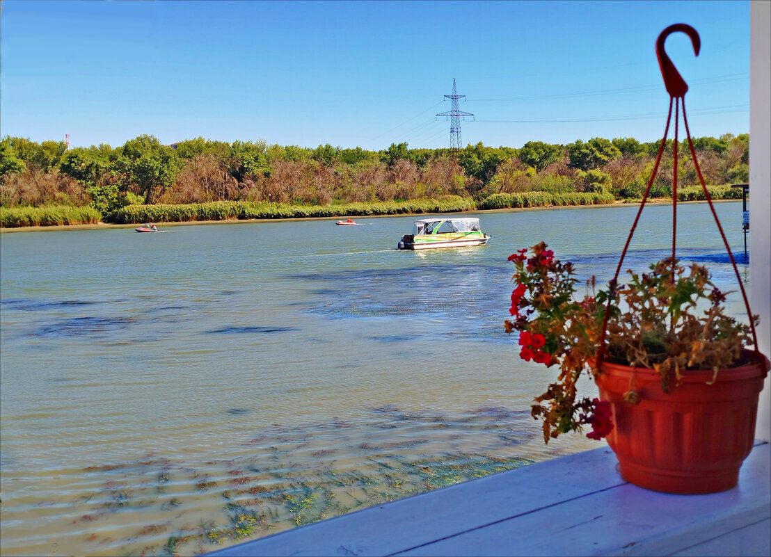 По Дону! - Надежда 