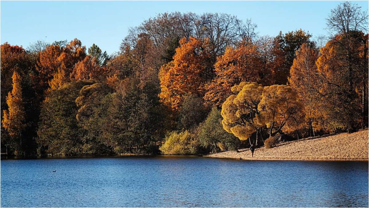 Осень на озере... - Анатолий ИМХО