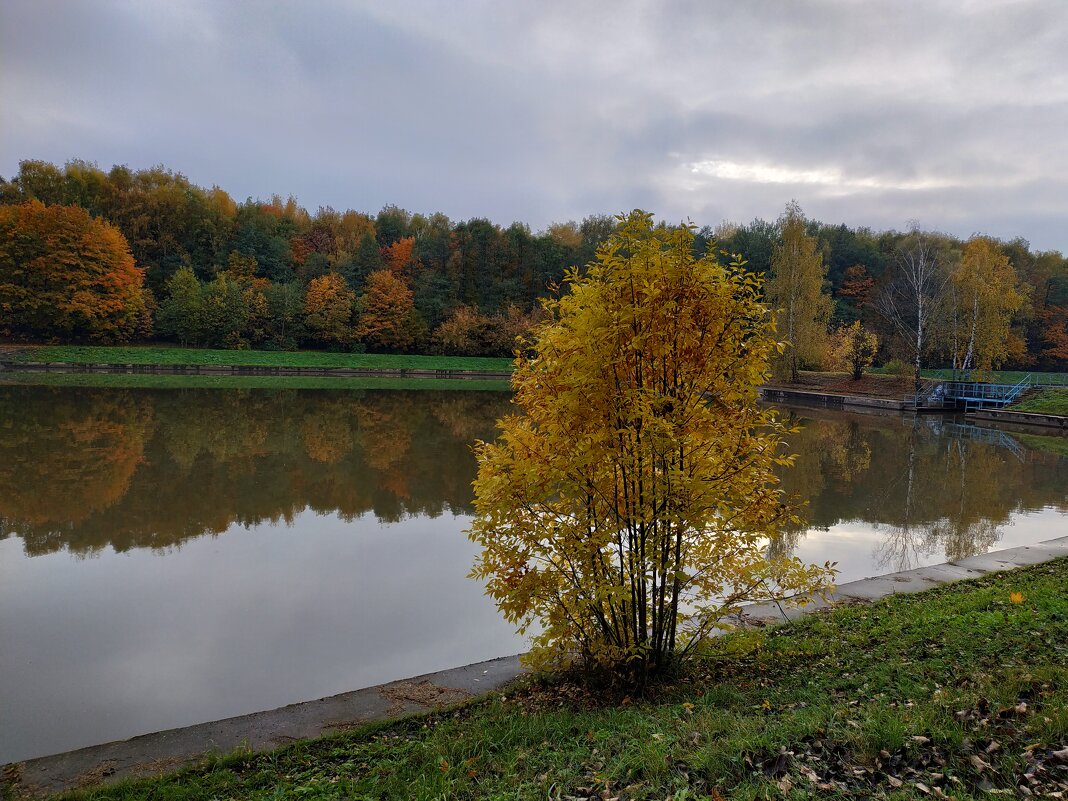 Из недопоказанного в октябре - Андрей Лукьянов