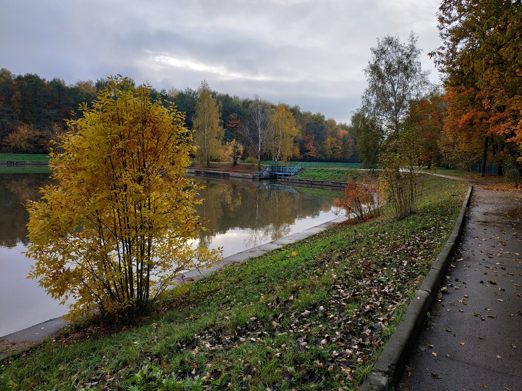 Из недопоказанного в октябре - Андрей Лукьянов