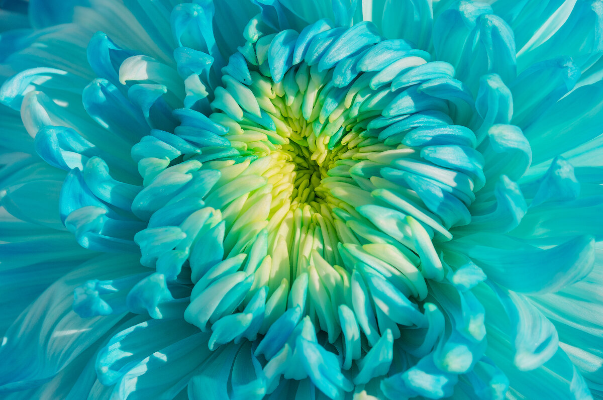 *** - Виктор Иванович Чернюк *** - Виктор Иванович Чернюк