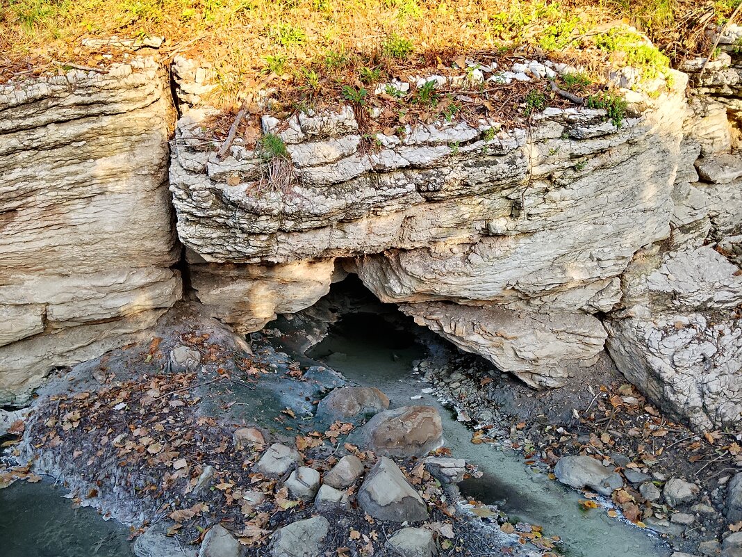 МАЦЕСТА - Tata Wolf