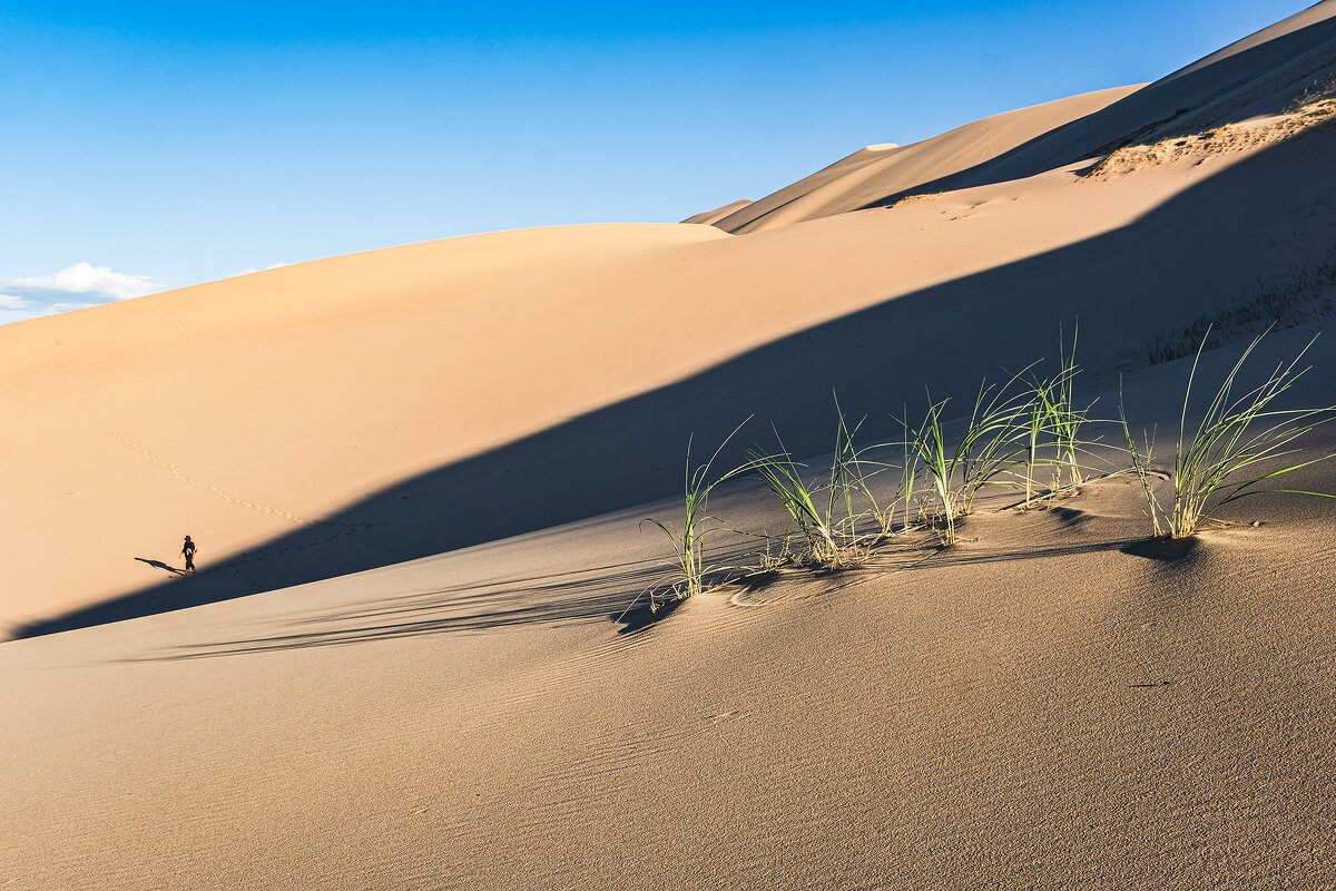 прогулка по бархану - Galina 
