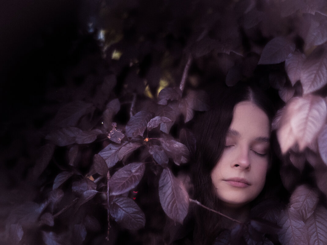 Сон в осеннюю ночь - Максим 