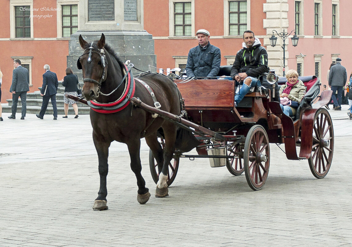 Варшавский Старый город - Светлана Ищенко