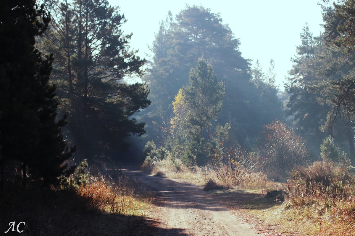 Утро туманное - Любовь Сахарова