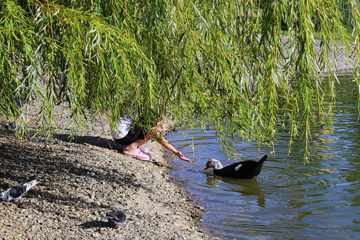 Доверие - Татьяна Лютаева