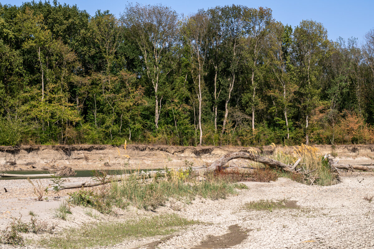 Не дружит река с деревьями - Игорь Сикорский