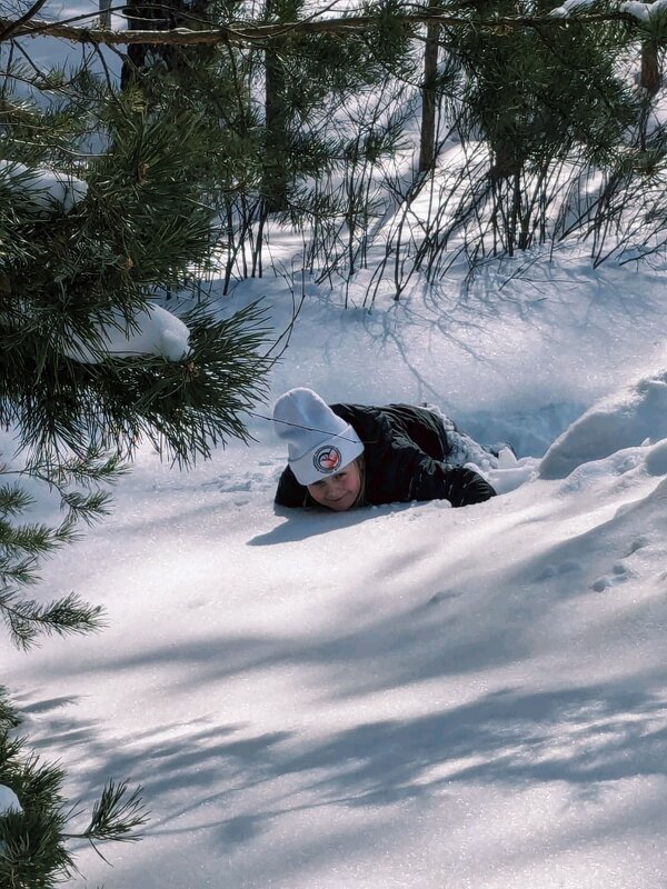 Зимний лес - Георгиевич 