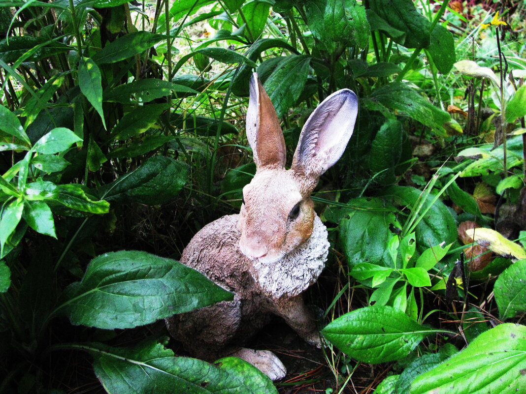 Грустно зайчику - Людмила Смородинская