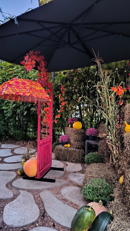 Зеленоградск. Прогуливаясь по Курортному проспекту. - Ольга 