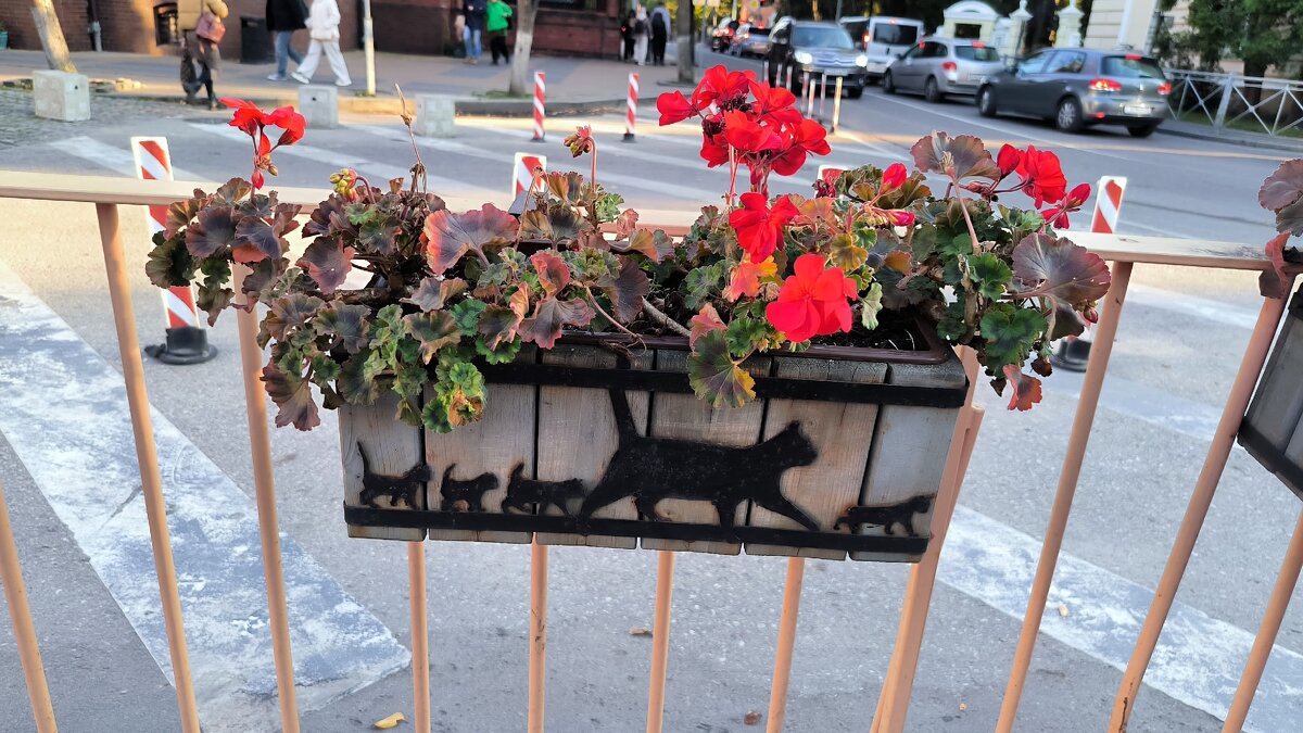 Прогулка по Зеленоградску. Внимание на детали. - Ольга 