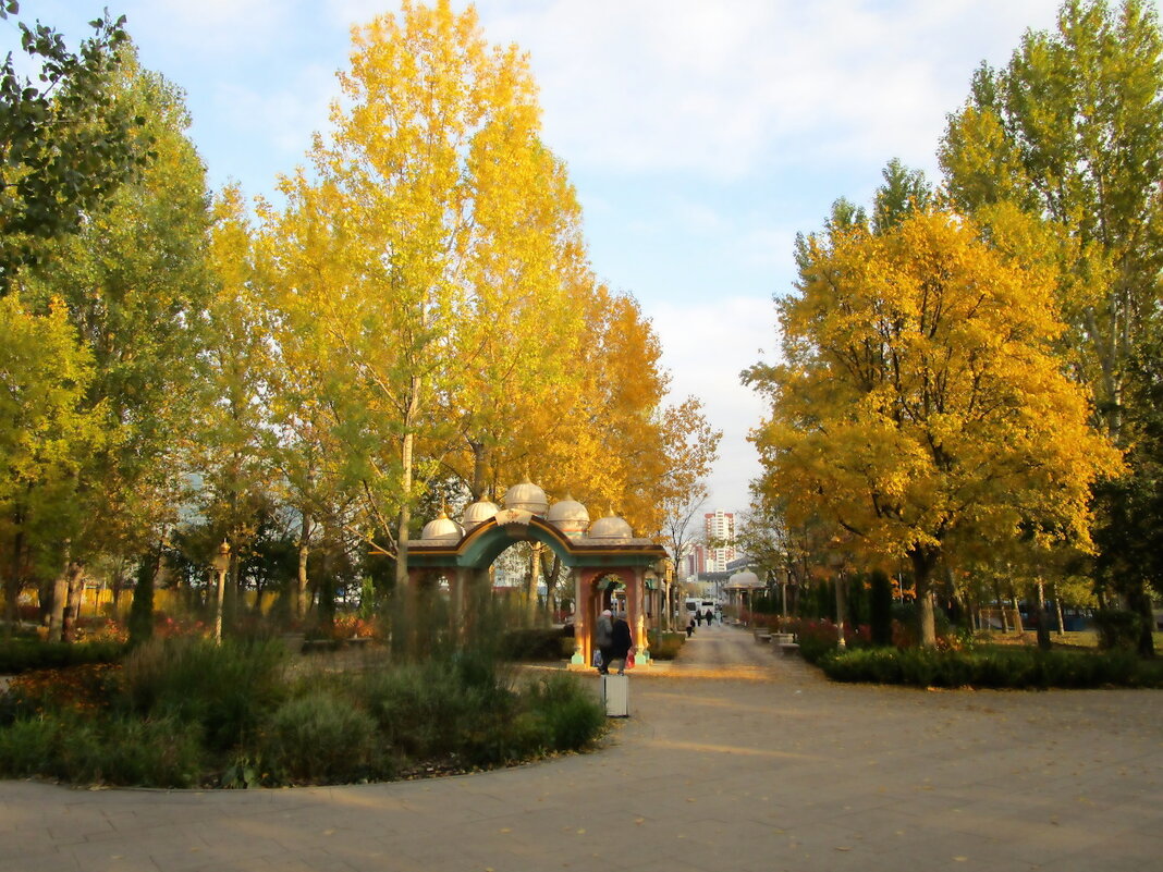 Золотая осень - Ольга Довженко