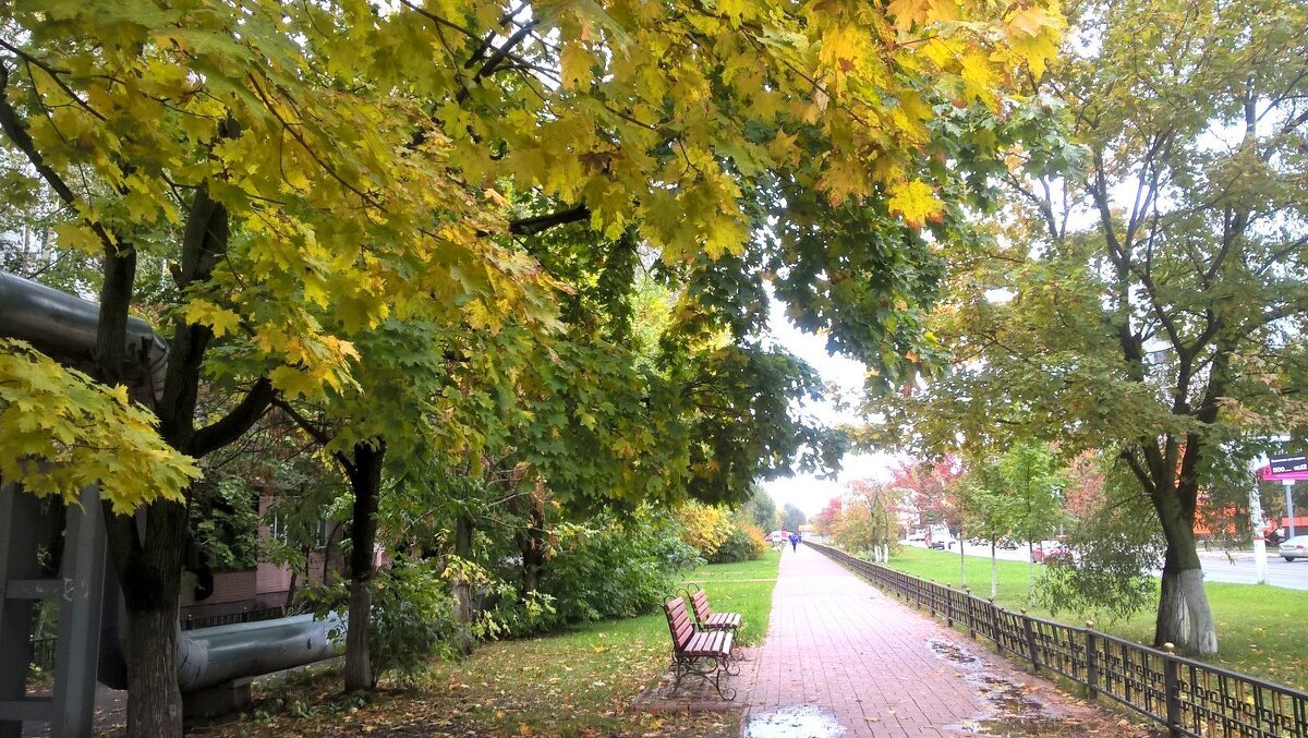 Осенью в городе - Елена Семигина