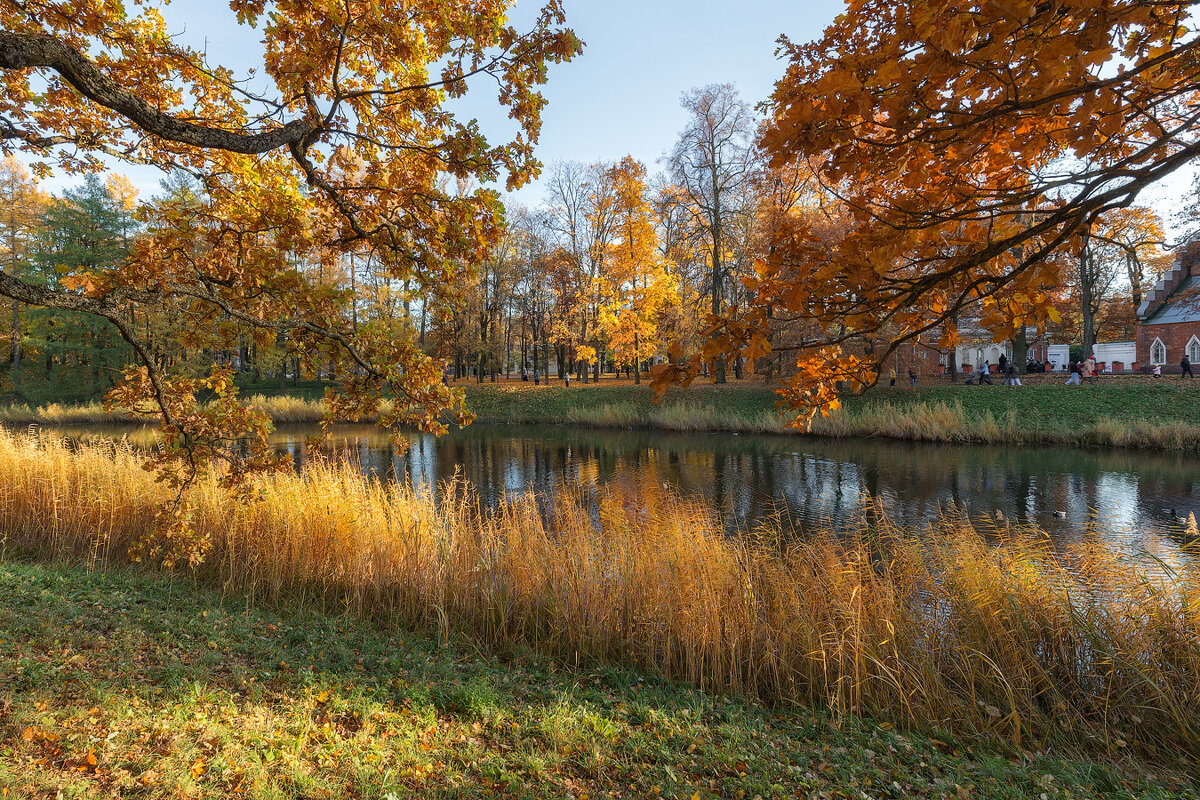 *** - Александр Кислицын