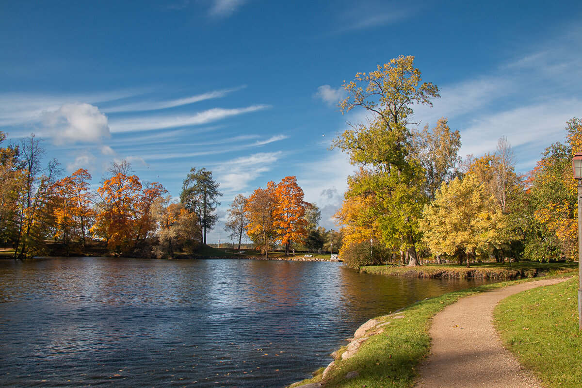*** - Геннадий Порохов