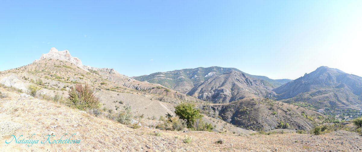 Природа Крыма - Amazing Cosmea