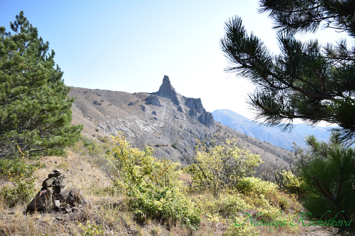 Природа Крыма - Amazing Cosmea