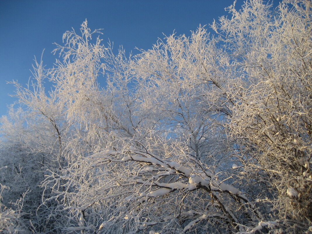 Зима - Anna Ivanova