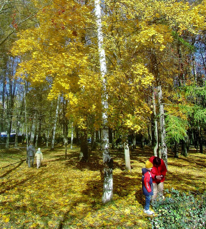 ..в городском  парке - galalog galalog