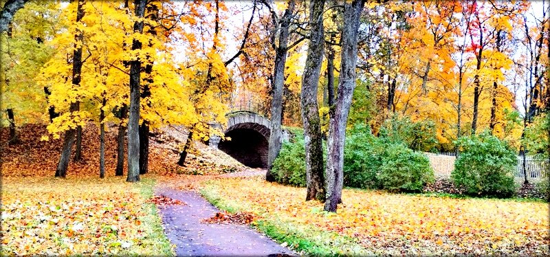 Осень золотая в парках ЦС ... - Сергей 