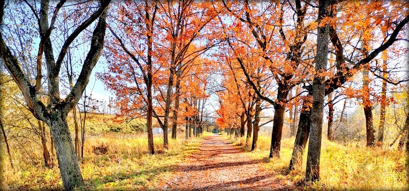 Осень золотая в парках ЦС ... - Сергей 