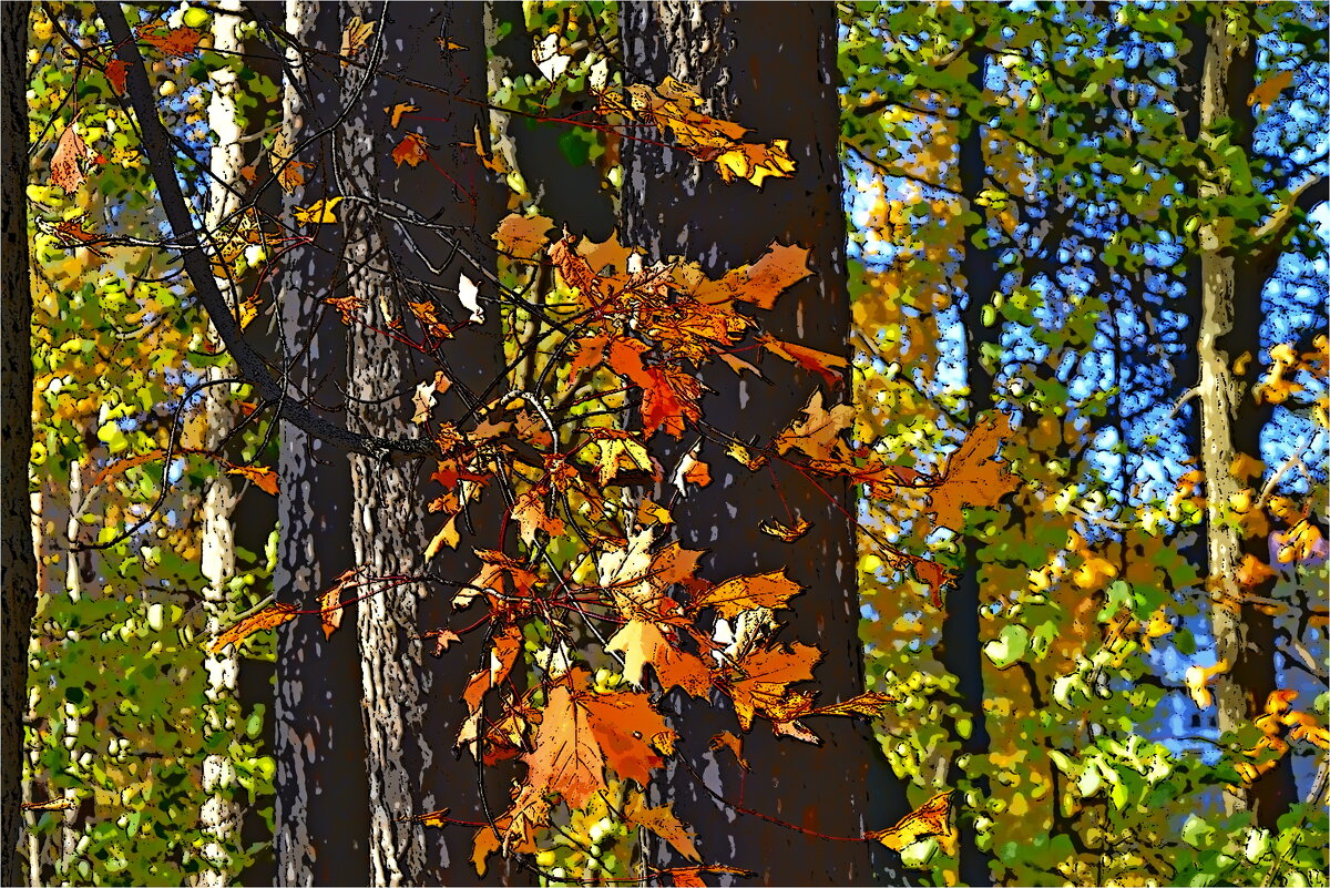 ВРЕМЕНА ГОДА - Юрий Владимирович 34