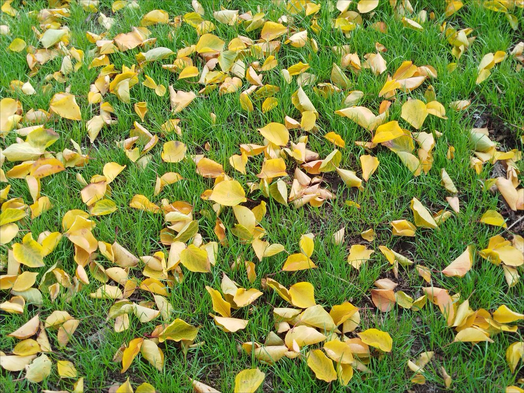 Коврик "Осень+Лето"! - Надежда 