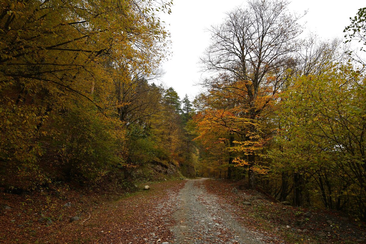 Осень в горах - Evgeny Mameev