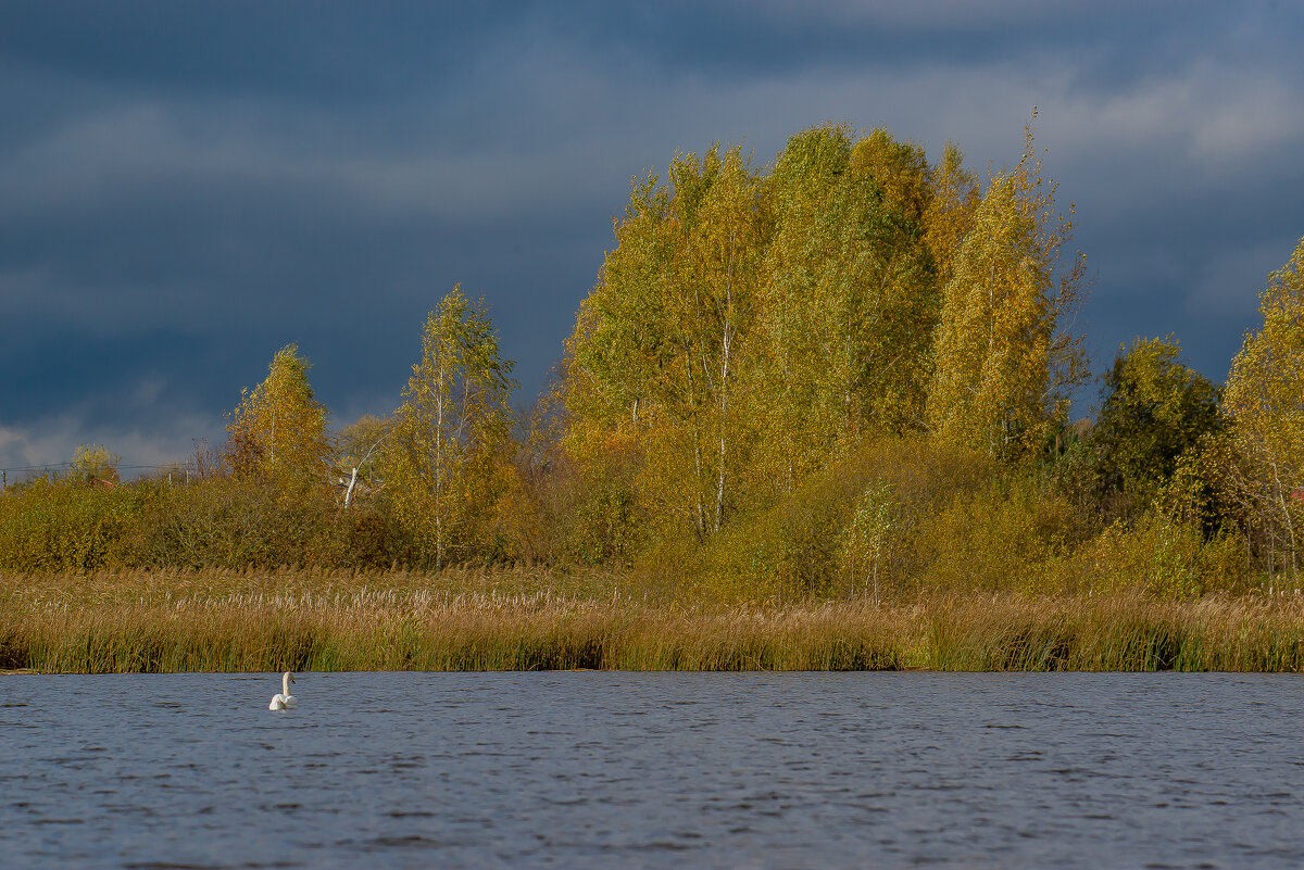 Октябрьским днём.... - Sergey (Apg) Октябрьским днём.... - Sergey (Apg)