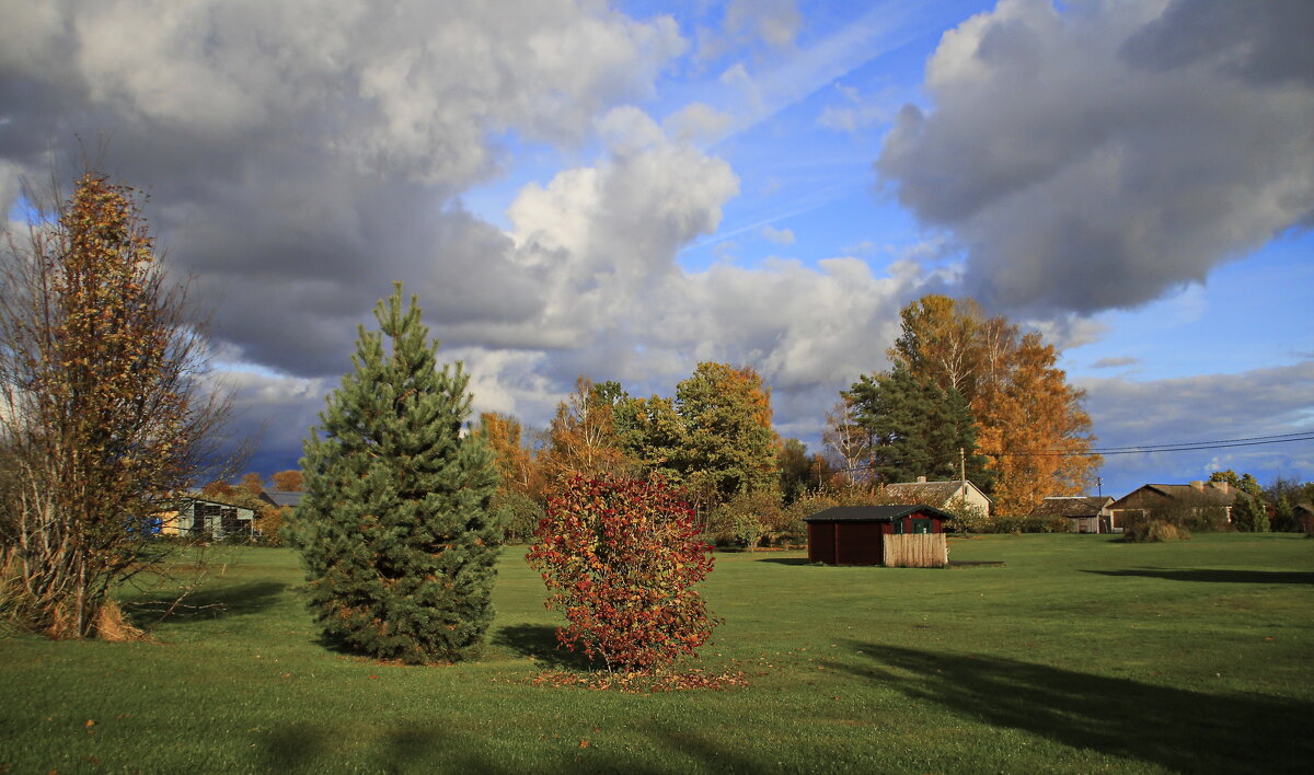Осенние зарисовки .. - Татьян@ Ивановна