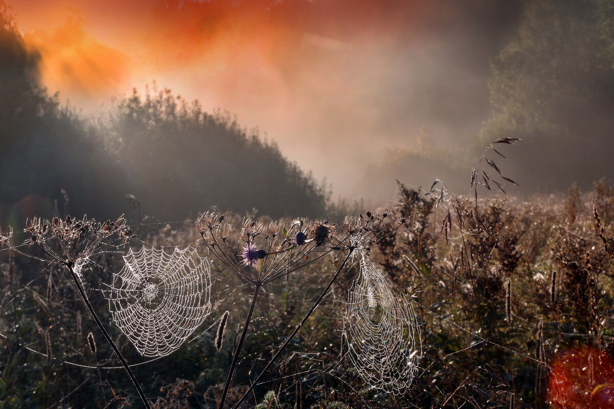 Царицыно 22 сентября - Михаил Бибичков