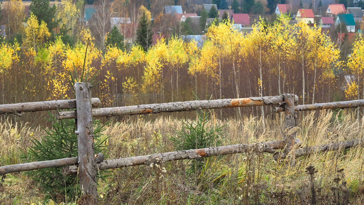 Подмсковные Пейзажи - юрий поляков